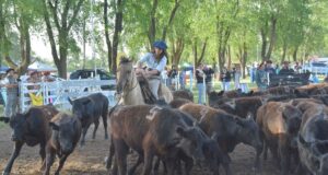 La Sociedad Rural Río Quinto anunció las fechas de sus grandes eventos para 2026