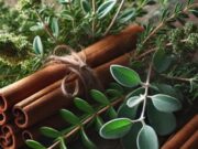 Aceites esenciales: una alternativa natural frente a la resistencia a los antimicrobianos