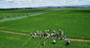 INTA Quines organiza una jornada técnica sobre alfalfa y economía productiva en el norte puntano
