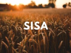 SISA: ARCA flexibiliza parámetros de calificación y actualiza los períodos de información productiva