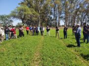 El norte de San Luis consolida su perfil alfalfero, pero enfrenta el gran desafío de la calidad