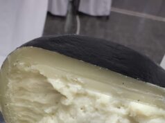 El mejor sardo de cabra de Argentina proviene de San Luis: el tambo “La Alegría” ganó el primer premio nacional con apoyo del INTI