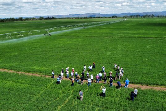 San Luis: un cambio histórico que podría reducir drásticamente los costos del riego agrícola