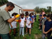 La red que enseña a medir la napa y transforma la gestión del agua en el campo argentino