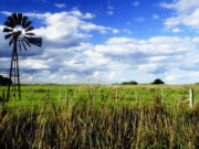 Estiman una primavera variable y un verano con clima neutral