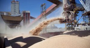 Argentina exportó 40 millones de toneladas de soja y el mercado busca equilibrio entre precios y divisas