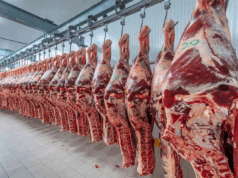 Exportaciones: volúmenes sostenidos y expectativas por un posible acuerdo comercial con Estados Unidos