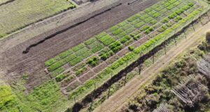 SENASA reconoce a los Técnicos en Producción Vegetal Orgánica como inspectores en entidades certificadoras