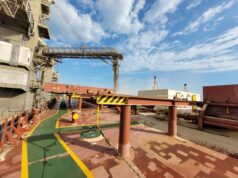 Europa exigirá soja libre de deforestación: ¿Cuánto podríamos perder y cuánto sale adaptarse?