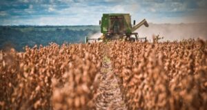 El agro argentino avanza entre cosechas récord y retenciones inciertas, mientras el mundo espera señales de China y EE.UU.