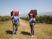 El RENATRE aumenta la Prestación por Desempleo a $330.000 a partir del 1° de noviembre