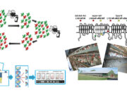 Moscas resistentes: detectan mutaciones genéticas que anulan insecticidas en granjas avícolas