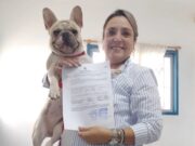 Guía para viajar con mascotas desde Argentina: Qué se necesita y cómo hacer el trámite