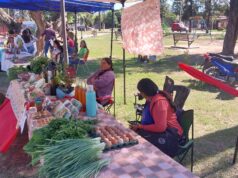 Semillas, saberes y sabores: la comunidad celebró la soberanía alimentaria en San Martín