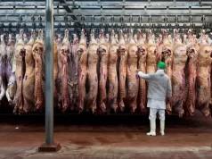 El precio de la carne vacuna sube en todo el mundo y abre una nueva oportunidad para los exportadores argentinos