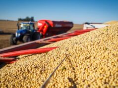 EE.UU. actualizó su reporte agrícola y anticipó cambios en China