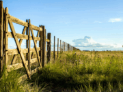 El mercado inmobiliario rural vuelve a moverse tras una década de estancamiento