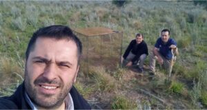Pastoreo rotativo sobre pasto llorón y Digitaria, una estrategia viable para el sur de San Luis
