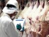 Las exportaciones de carne vacuna siguen creciendo: Según datos de Senasa, en octubre alcanzaron el nivel más alto del año y establecieron un nuevo récord mensual