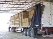 En 2025, San Luis lleva exportadas más de 7500 tn de alfalfa hacia diferentes destinos