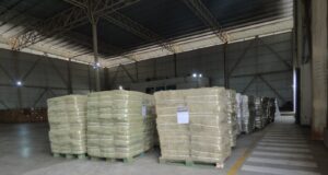 La alfalfa puntana llega por primera vez a Indonesia