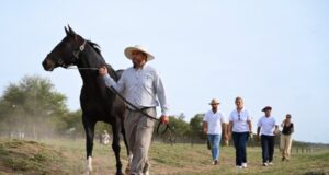 Villa Mercedes se consolida como sede estratégica para el desarrollo genético del caballo de polo de élite