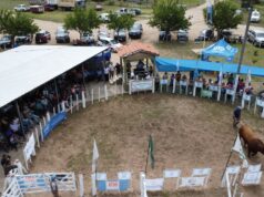 Llega la 19ª Expo Toro del Norte de San Luis, una cita imperdible para la ganadería regional