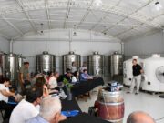 San Luis lanzó su primera Mesa Vitivinícola Provincial y abrió una nueva etapa para el vino puntano