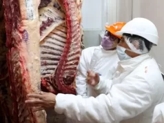 Desde Miami, Milei confirmó que la cuota de ingreso de carne vacuna argentina a Estados Unidos será de 80 mil toneladas