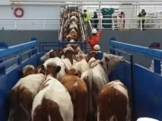 Acuerdo comercial: en la lista, la Argentina le concede a Estados Unidos, por ahora, más productos de los que consigue