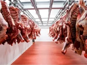 Mercado exportador: la política internacional vuelve a ocupar un lugar central en la escena global