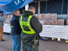 El control al transporte de alimentos resguarda la inocuidad de los productos