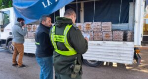 El control al transporte de alimentos resguarda la inocuidad de los productos