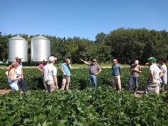 San Luis consolida su liderazgo en innovación agrícola con una campaña récord de ensayos