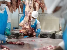 Tres décadas, cuatro ciclos: así evolucionaron granos, carnes, lácteos y biocombustibles desde 1993