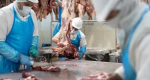 Tres décadas, cuatro ciclos: así evolucionaron granos, carnes, lácteos y biocombustibles desde 1993