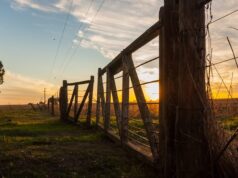 La política reconfigura el clima de inversión y reactiva la compraventa de campos en Argentina