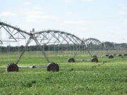 Argentina aumentó la superficie de riego en más de 63.000 hectáreas en los últimos 2 años
