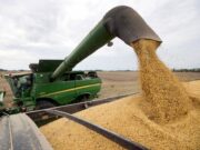 Retenciones: la baja genera dudas y el agro argentino atraviesa una semana decisiva en soja, maíz y trigo