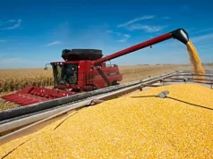 El Gobierno oficializó una nueva baja de retenciones a los principales granos