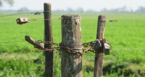 Ola delictiva y desidia política encendieron la furia del campo en San Luis