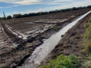 Cómo hacer rendir cada gota: el riego superficial como eje del desarrollo productivo en el norte de San Luis