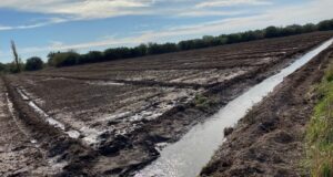 Cómo hacer rendir cada gota: el riego superficial como eje del desarrollo productivo en el norte de San Luis