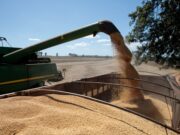 China pierde impulso y el buen clima en Sudamérica presiona a la baja los precios de los granos