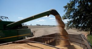 China pierde impulso y el buen clima en Sudamérica presiona a la baja los precios de los granos