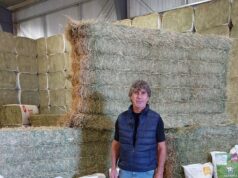 San Luis: Alfavita recibió a técnicos del CFI y la CEPAL para analizar el potencial agrícola de la Llanura Norte