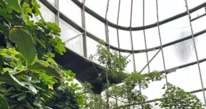 Docente de la FTU-UNSL llevó la experiencia puntana a un encuentro de jardines botánicos sudamericanos