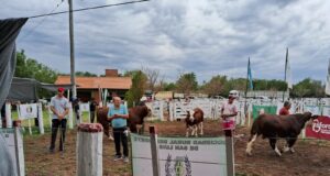 La Rural del Norte celebró 19 años de una Expo Toro que ya es tradición y motor productivo en San Luis