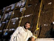 De Mendoza a Córdoba y San Luis: 5.380 colmenas, 800 kilómetros y una campaña que superó los 86 mil kilos de miel