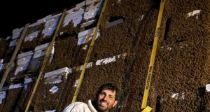 De Mendoza a Córdoba y San Luis: 5.380 colmenas, 800 kilómetros y una campaña que superó los 86 mil kilos de miel